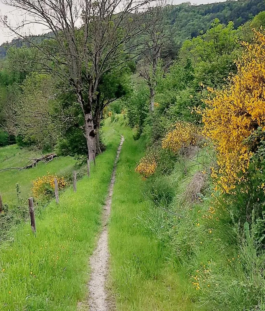 Une Maison En Pleine Nature Cubelles 0*,  Fransa
