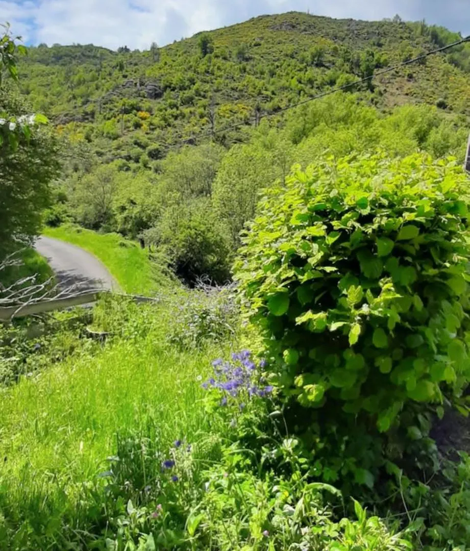 Une Maison En Pleine Nature Cubelles Holiday home